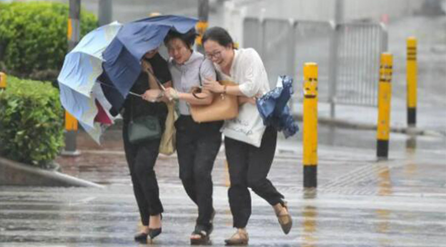 家有衣物烘干機(jī)，無懼臺(tái)風(fēng)天吹走和淋濕衣物！