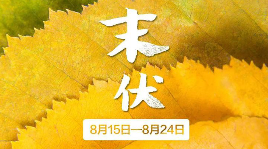 末伏時節！金環電器提醒你謹記這些注意事項