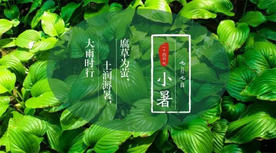 小暑時節來到！金環電器提醒大家要注意的事項