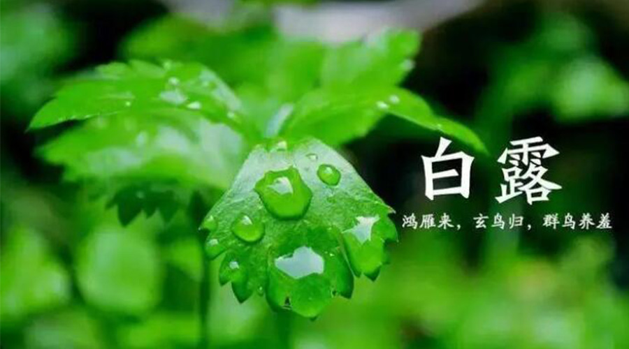 白露時節！金環電器提醒大家要注意的事項